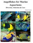 Angelfishes for Marine Aquariums: Diversity, Selection & Care By Robert Fenner Cover Image