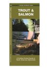 Trout & Salmon of North America: A Beautifully Illustrated Folding Pocket Guide to Familiar Species (Pocket Naturalist Guide) By James Kavanagh, Waterford Press, Raymond Leung (Illustrator) Cover Image