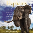 Elephants: Birth, Life, and Death in the World of the Giants By Hannah Mumby, Gemma Lawrence (Read by) Cover Image