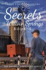Secrets of Willow Springs - Book 3 By Tracy Fredrychowski Cover Image