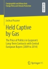 Held Captive by Gas: The Price of Politics in Gazprom's Long-Term Contracts with Central European Buyers (2009 to 2014) (Energiepolitik Und Klimaschutz. Energy Policy and Climate Pr) Cover Image