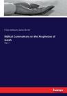 Biblical Commentary on the Prophecies of Isaiah: Vol. I By Franz Delitzsch, James Martin Cover Image