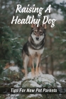 Raising A Healthy Dog: Tips For New Pet Parents: How To Raise A Good Dog By Kim Lembo Cover Image
