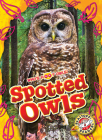 Spotted Owls By Elizabeth Neuenfeldt Cover Image