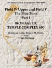 Tel Miqne 10/1: Tel Miqne-Ekron Excavations 1994-1996, Field IV Upper and Field V, the Elite Zone Part 1: Iron Age IIc Temple Complex By Gitin Cover Image