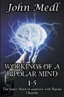 Workings of A Bipolar Mind 1-5 Omnibus: The Inner Mind of Someone With Bipolar Disorder Cover Image