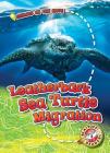 Leatherback Sea Turtle Migration (Animals on the Move) By Kari Schuetz Cover Image