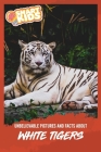 Unbelievable Pictures and Facts About White Tigers By Olivia Greenwood Cover Image