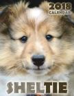 Sheltie 2018 Calendar By Over the Wall Dogs Cover Image