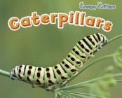 Caterpillars (Creepy Critters) By Rebecca Rissman Cover Image