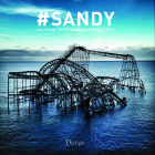 #Sandy: Seen Through the Iphones of Acclaimed Photographers By Wyatt Gallery (Editor), Sean Corcoran (Text by (Art/Photo Books)), Eddie Brannan (Text by (Art/Photo Books)) Cover Image