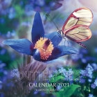 Butterflies Calendar 2021: 16 Month Calendar Cover Image