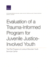 Evaluation of a Trauma-Informed Program for Juvenile Justice-Involved Youth: The Pilot Program at Lookout Mountain Youth Services Center Cover Image