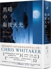 We Begin at the End By Chris Whitaker Cover Image