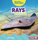 Rays: A First Look By Percy Leed Cover Image