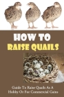 How To Raise Quails: Guide To Raise Quails As A Hobby Or For Commercial Gains: How Do I Start Quail Farming? Cover Image