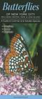 Butterflies of New York City, Incl. Central Park & Long Island: A Guide to Common & Notable Species By Jeff Fengler Cover Image