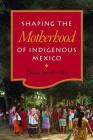 Shaping the Motherhood of Indigenous Mexico By Vania Smith-Oka Cover Image