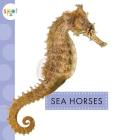 Sea Horses (Spot Ocean Animals) Cover Image