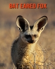 Bat Eared Fox: Amazing Photos & Fun Facts Book About Bat Eared Fox For Kids By Kelly Craig Cover Image