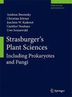 Strasburger's Plant Sciences: Including Prokaryotes and Fungi By Andreas Bresinsky, Christian Körner, Joachim W. Kadereit Cover Image