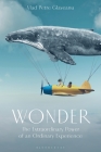 Wonder: The Extraordinary Power of an Ordinary Experience By Vlad P. Glaveanu Cover Image