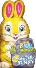 My Easter Bunny! By Lily Karr, Jay Johnson (Illustrator) Cover Image