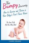 The Bumpy Journey: How to Survive and Thrive in your Baby's First Three Years By Heather M. Hilliard (Editor), Cheryl Jerabek Cover Image