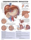 Understanding Hepatitis Anatomical Chart Cover Image