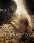 Endurance: Down and Dirty Off-Road Racing Cover Image