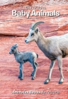 Our Arizona: Baby Animals By Jerri Conrad (Editor), Patrick Turner (Designed by) Cover Image