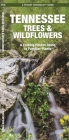 Tennessee Trees & Wildflowers: A Folding Pocket Guide to Familiar Plants (Pocket Naturalist Guide) By James Kavanagh, Waterford Press, Raymond Leung (Illustrator) Cover Image