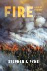 Fire: A Brief History By Stephen J. Pyne Cover Image