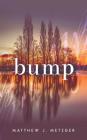 Bump By Matthew J. Metzger Cover Image