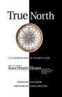 True North: A Flickering Soul in No Man's Land; Knut Utstein Kloster, Father of the $20-Billion-A-Year Modern Cruise Industry By Stephanie Gallagher Cover Image