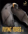 Flying Foxes (Creatures of the Night) Cover Image