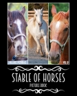 Precious Pictorials Stable Of Horses Picture Book: Horse Photo Book For Adults No Words Books 50 Color Images 8