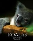 Koalas: Zen in Fur, Bw Edition Cover Image