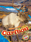 Caribou (Animals at Risk) By Rachel Grack Cover Image