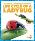 Life Cycle of a Ladybug By Karen Latchana Kenney Cover Image