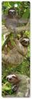 3D Bookmark Sloths By Inc Peter Pauper Press (Created by) Cover Image