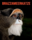 Brazzameerkatze: Schöne Bilder & Kinderbuch mit interessanten Fakten über Brazzameerkatze By Katie Mercer Cover Image