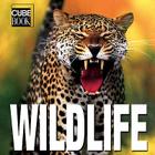 Wildlife (Minicube) By Valeria Manferto De Fabianis (Editor) Cover Image