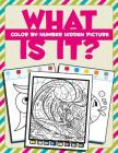 What Is It?: Color By Number Hidden Picture Cover Image