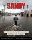 Sandy: A Story of Complete Devastation, Courage, and Recovery Cover Image