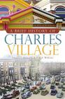 A Brief History of Charles Village By Gregory J. Alexander, Paul K. Williams Cover Image