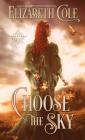 Choose the Sky: A Medieval Romance (Swordcross Knights #2) Cover Image