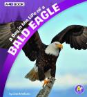 A Day in the Life of a Bald Eagle: A 4D Book By Lisa J. Amstutz Cover Image