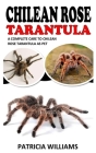 Chilean Rose Tarantula: A Complete Care to Chilean Rose Tarantula as Pet Cover Image