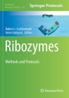 Ribozymes: Methods and Protocols (Methods in Molecular Biology #2167) By Robert J. Scarborough (Editor), Anne Gatignol (Editor) Cover Image